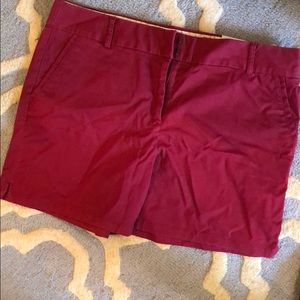 LOFT Riviera Shorts NWT